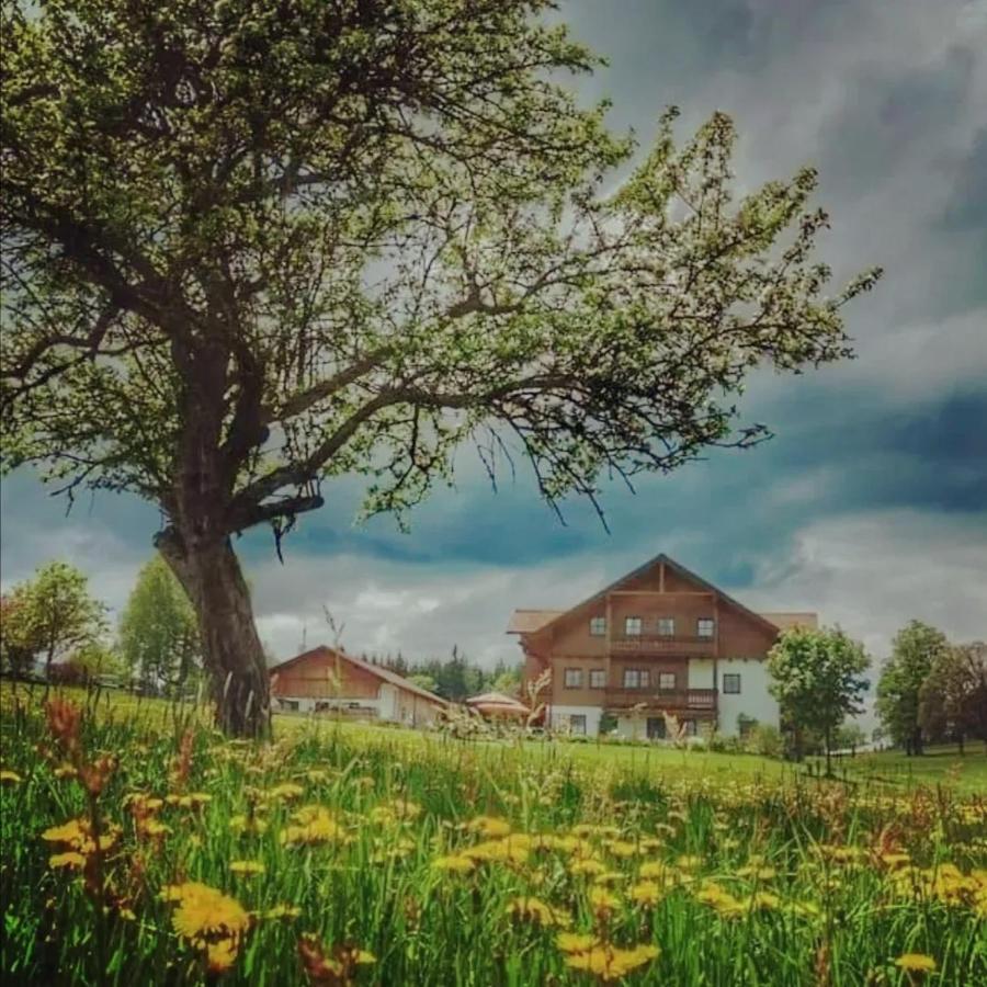 Biobauernhof Brandlhof Ramsau am Dachstein Exterior foto
