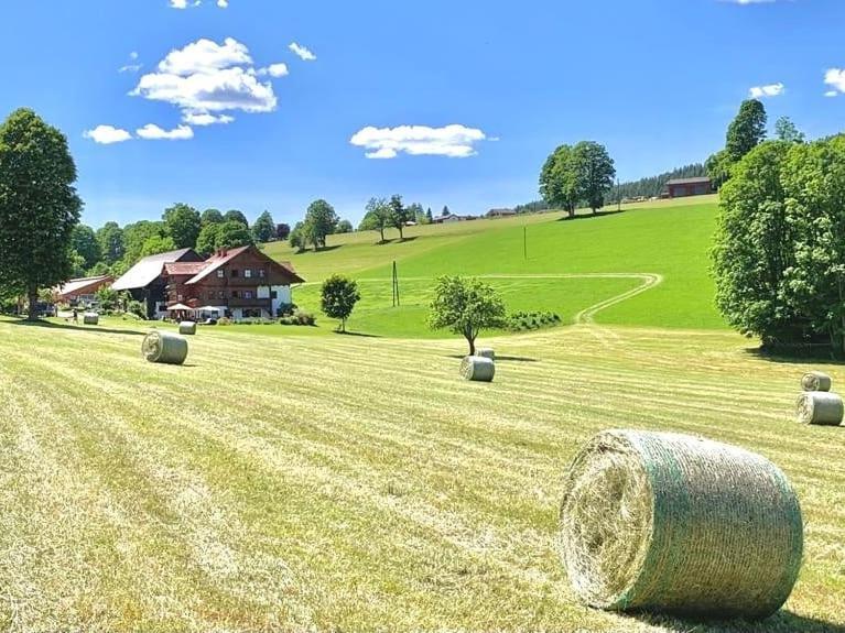 Biobauernhof Brandlhof Ramsau am Dachstein Exterior foto