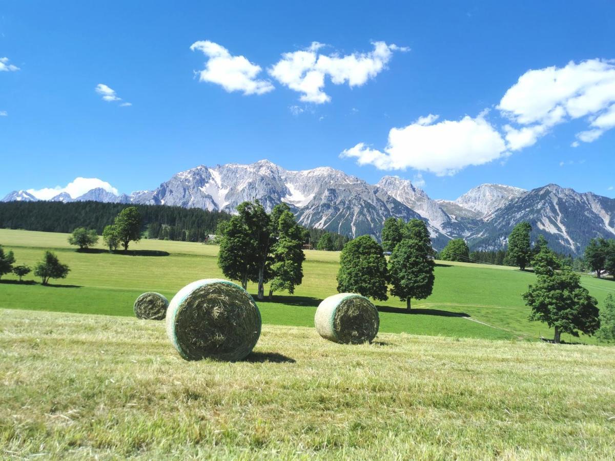Biobauernhof Brandlhof Ramsau am Dachstein Exterior foto