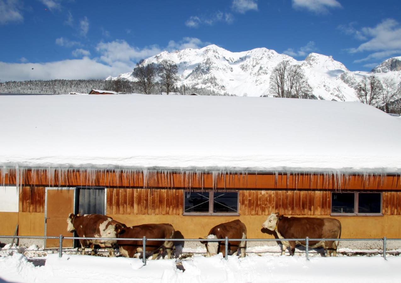 Biobauernhof Brandlhof Ramsau am Dachstein Exterior foto