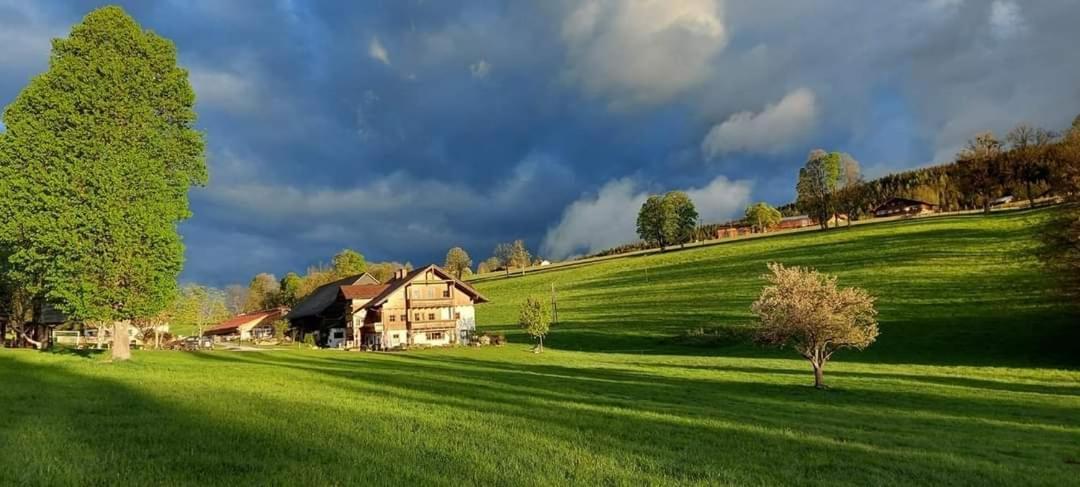 Biobauernhof Brandlhof Ramsau am Dachstein Exterior foto