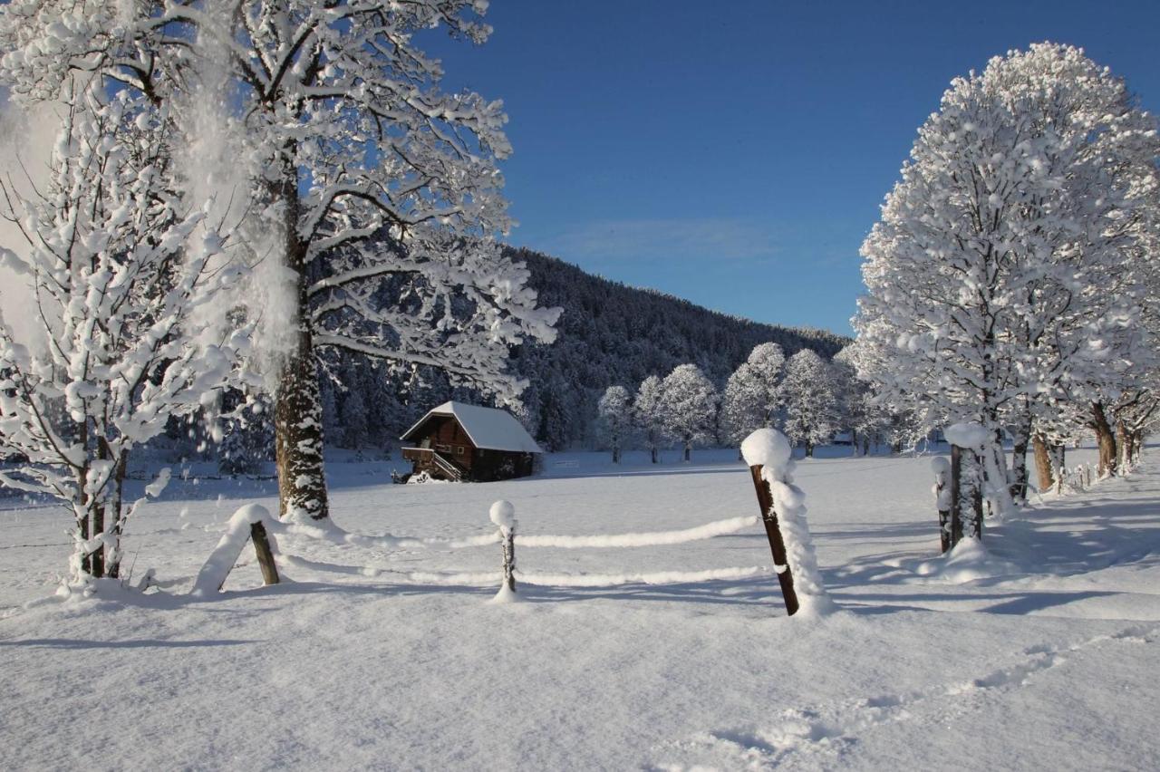 Biobauernhof Brandlhof Ramsau am Dachstein Exterior foto