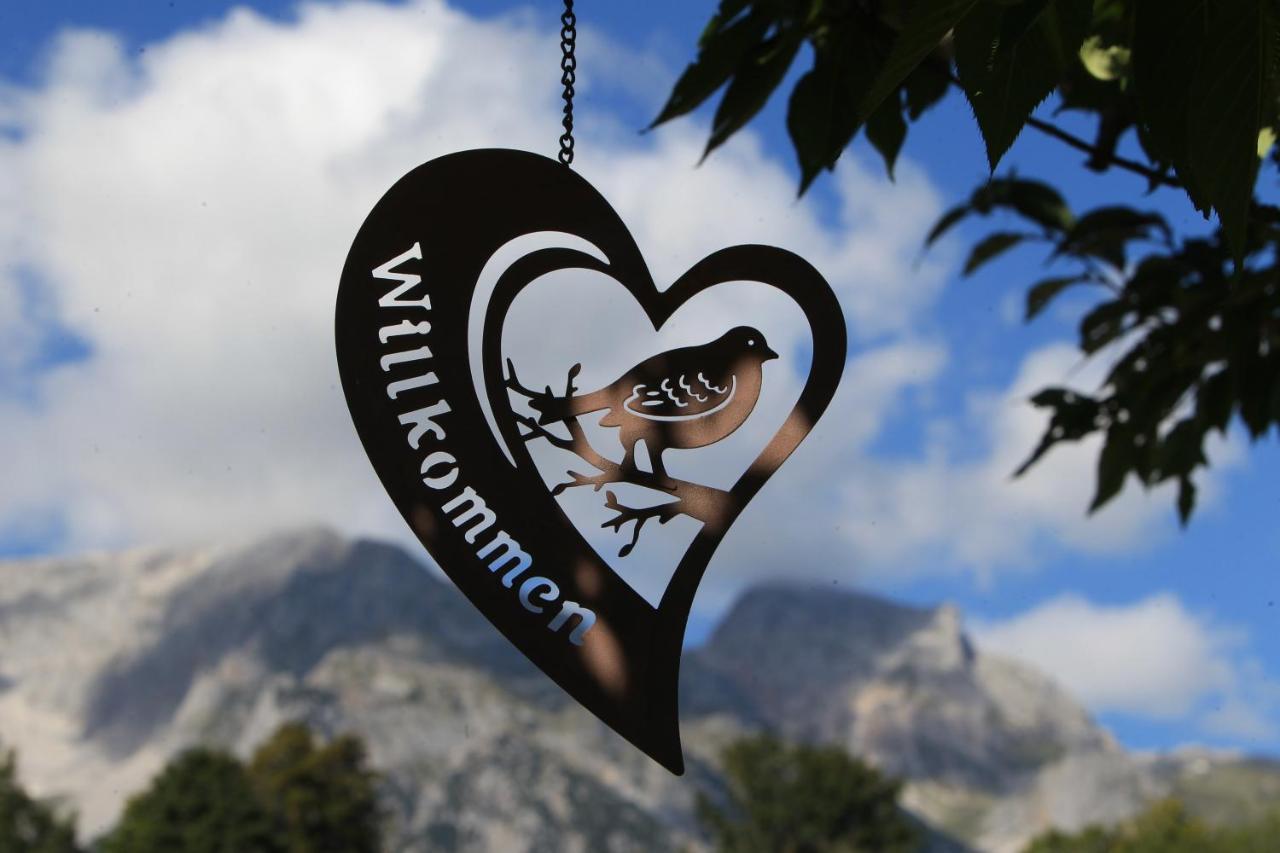 Biobauernhof Brandlhof Ramsau am Dachstein Exterior foto