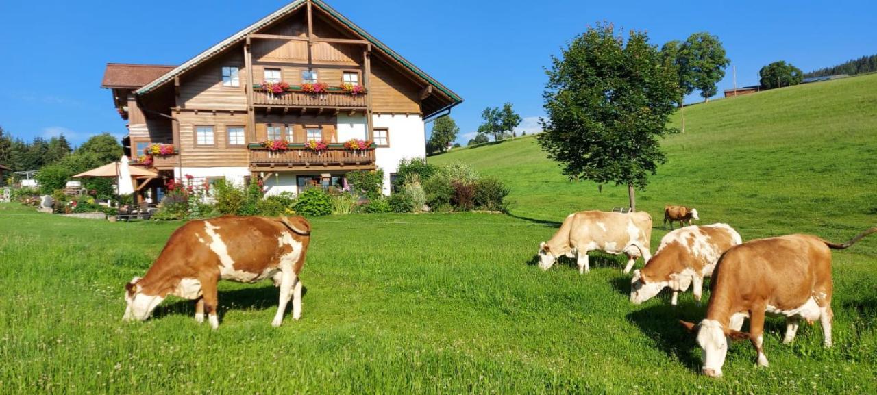 Biobauernhof Brandlhof Ramsau am Dachstein Exterior foto