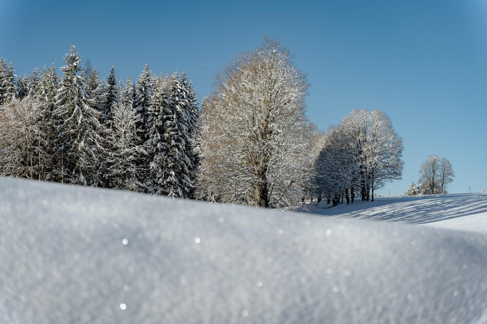 Biobauernhof Brandlhof Ramsau am Dachstein Exterior foto