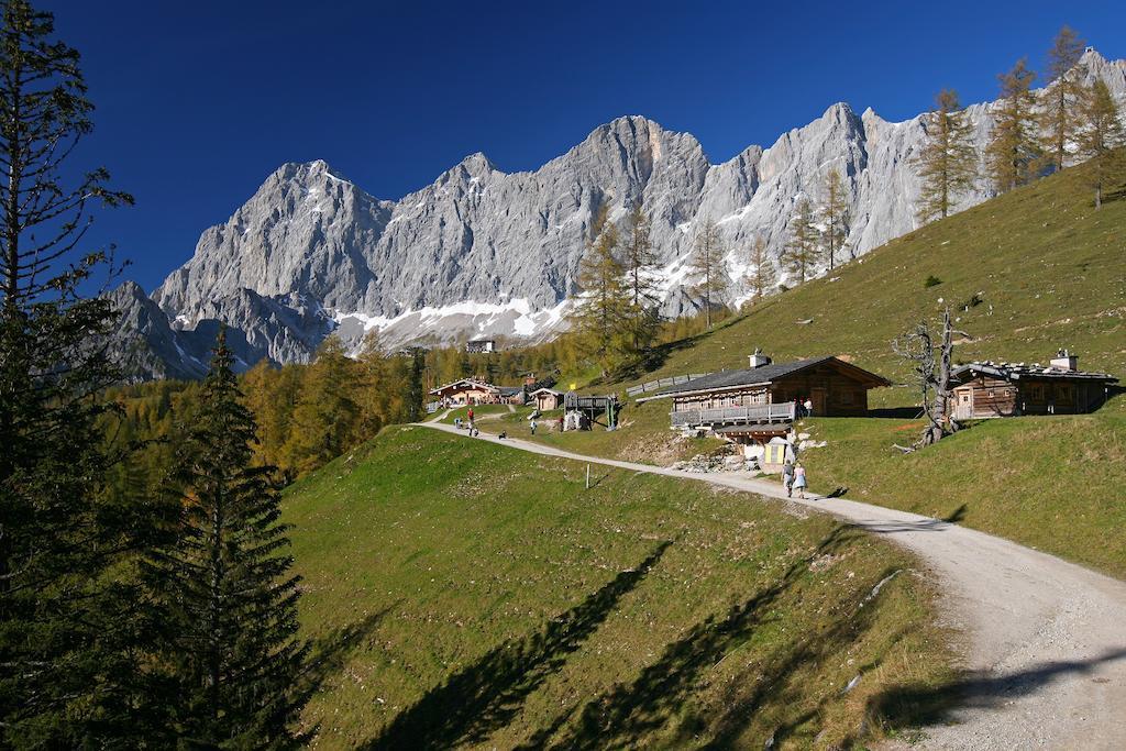 Biobauernhof Brandlhof Ramsau am Dachstein Exterior foto